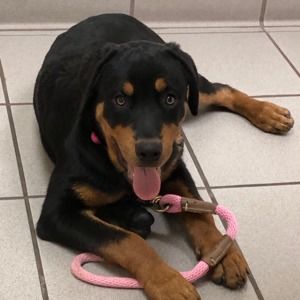 Meet your Posher, Terri